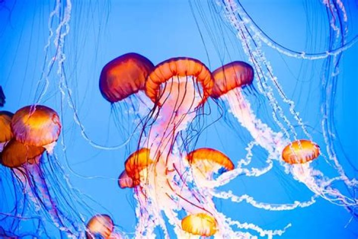 35 Wonderfully Weird Tidbits And Photos