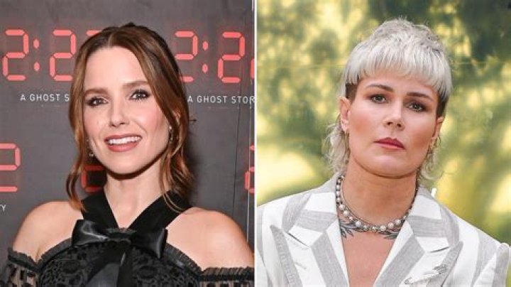 Are Sophia Bush and Ashlyn Harris Dating? Details About Reported Romance After Respective Splits
