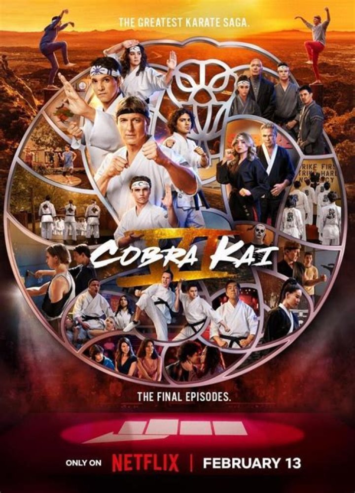 Can u watch Cobra Kai on Amazon Prime? – Celebrity.fm – #1 Official Stars, Business & People Network, Wiki, Success story, Biography & Quotes