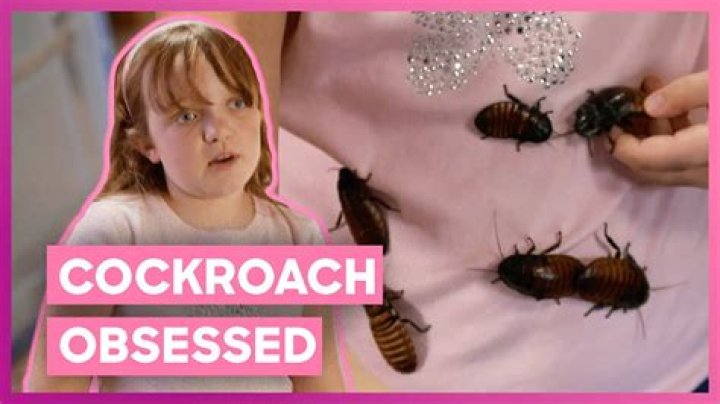 Cockroach Crawls In Sleeping Woman's Ear And Gets Stuck For Nine Days