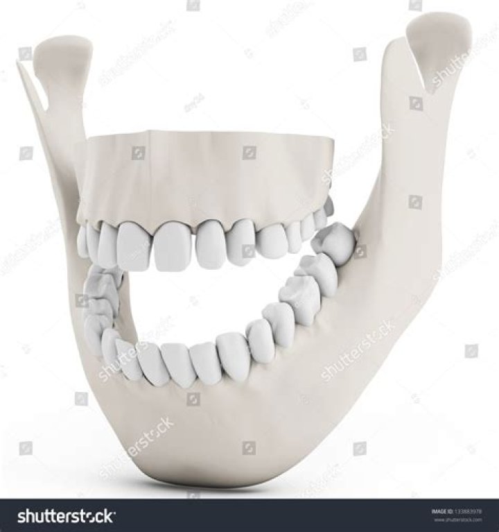 Dentist Notices A Likely Human Jawbone In His Parents' Floor