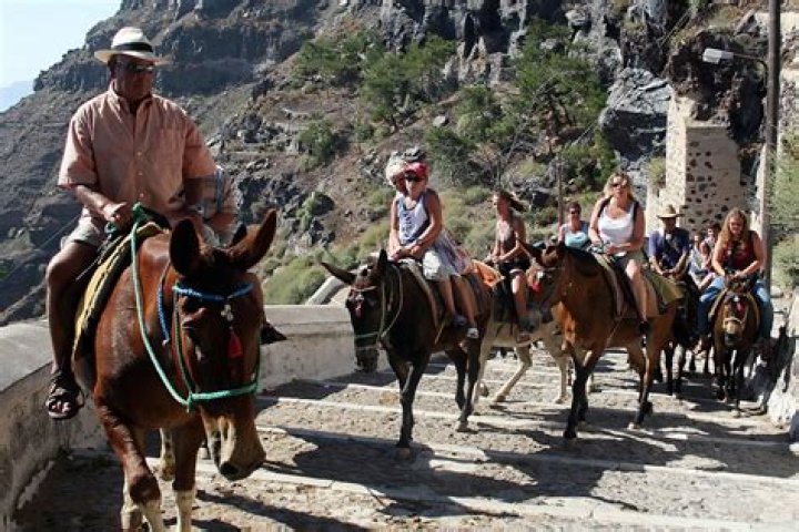Greece Officially Bans Overweight Tourists From Riding Their Donkeys
