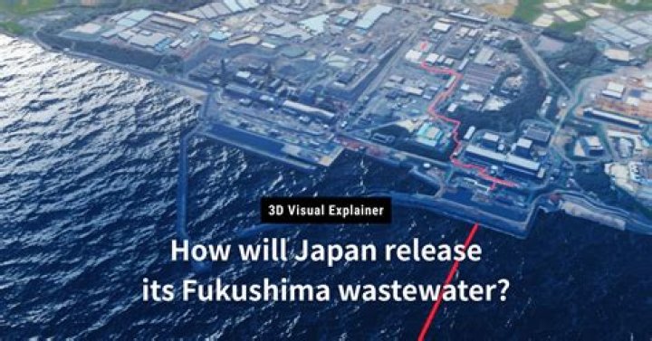 How tall is Rila Fukushima