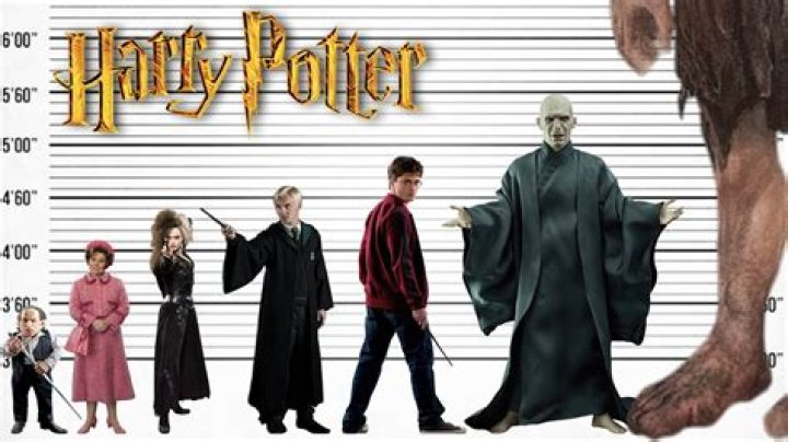 Is Harry Potter Tall or short?