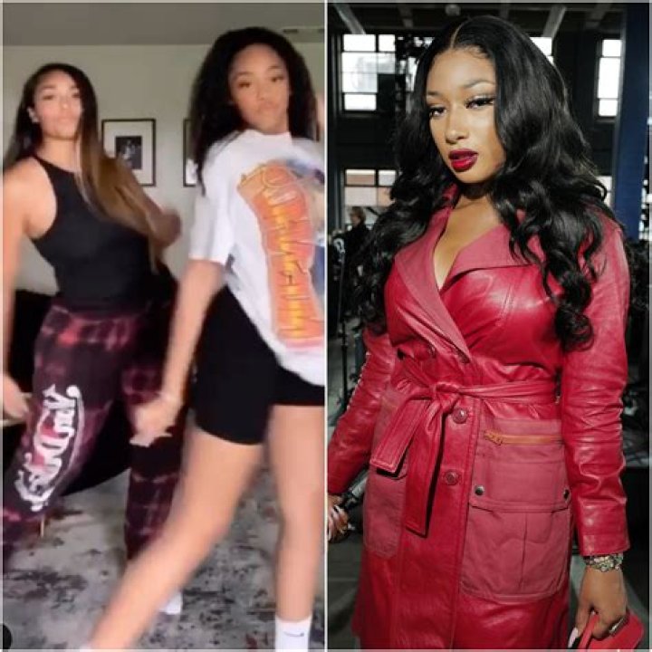 Jordyn Woods Does TikTok Dance Video With Nearly Identical Sister Jodie For ‘Sis’ Megan Thee Stallion