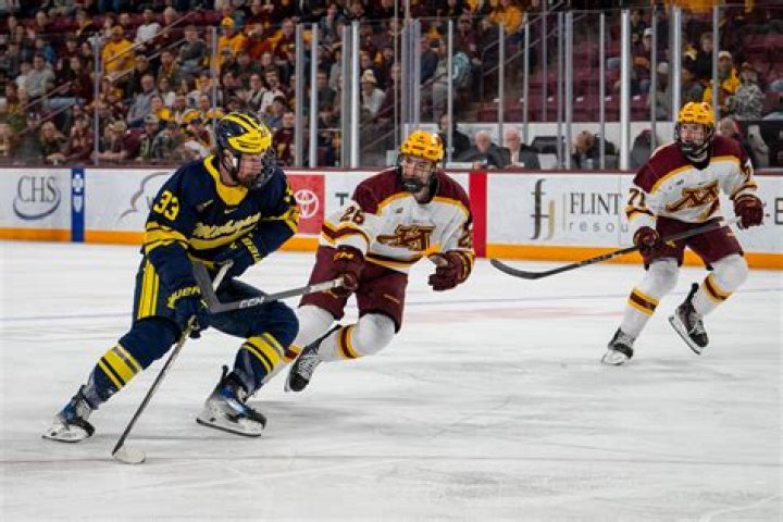 Kienan Robert Kowalski (poofesure) Net Worth and Earnings