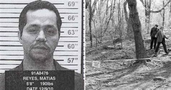 Marco Margaritoff - All That's Interesting