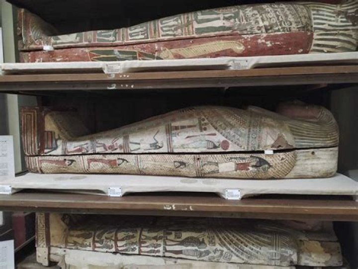 Mummified Corpse Discovered At Australian Hoarder's Home