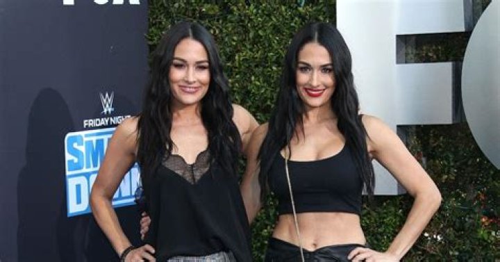 Nikki Bella Thinks Her Twin Sister Brie Isn’t Cut out for ‘DWTS’ (EXCLUSIVE)