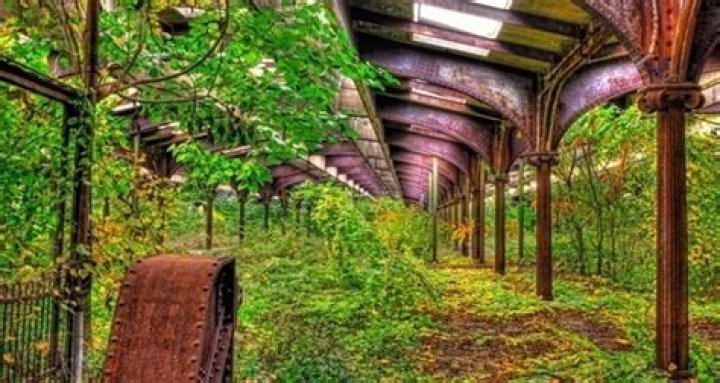 Places Reclaimed By Nature: Stunning Photos And Stories