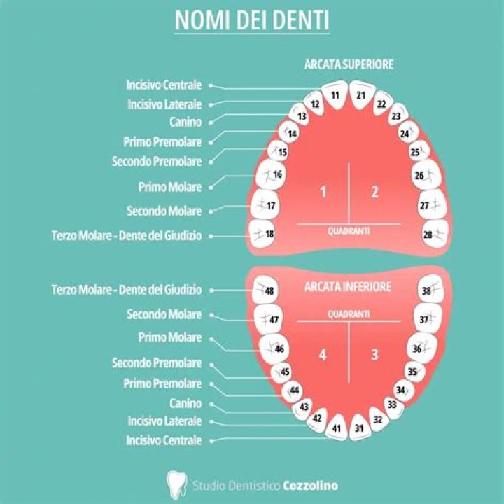 Quali sono i nomi dei 7 nani in ordine?