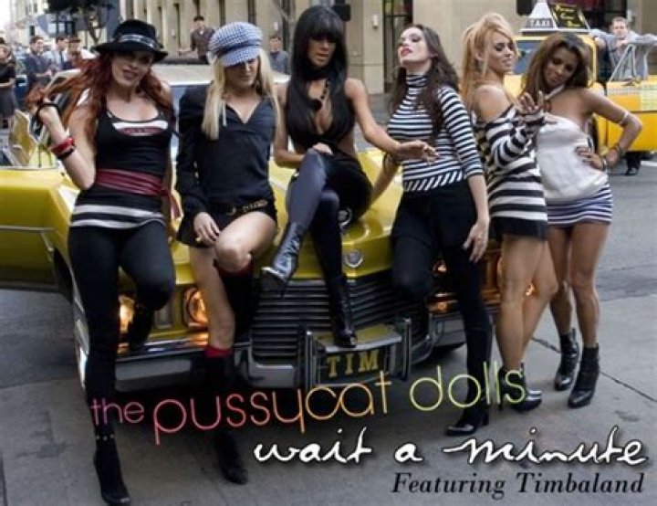 REPORTWait a Minute, The Pussycat Dolls Are Totally Making a Comeback!