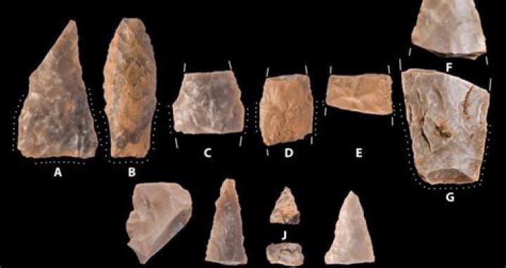 Researchers Uncover The Oldest Weapons Found In North America