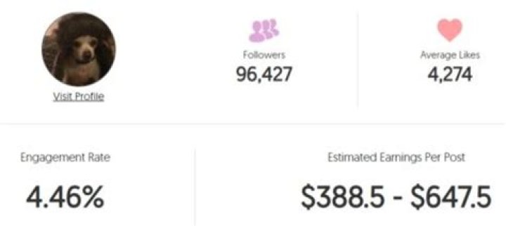 Teo Halm Age | Wiki, Net worth, Bio, Height, Girlfriend