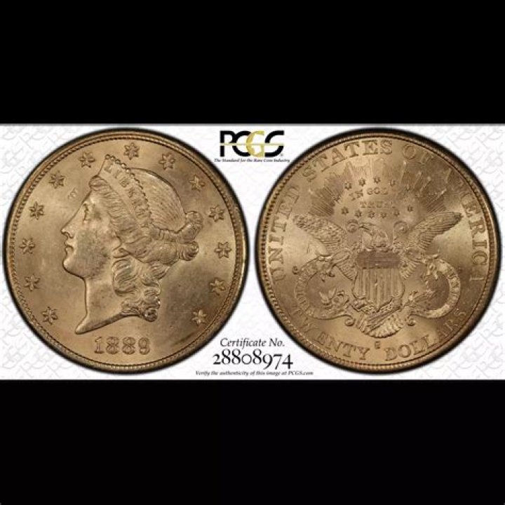 The Saddle Ridge Hoard And The Mystery Of America's Biggest Buried Treasure Find