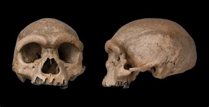 This 210,000-Year-Old Fossilized Skull Could Rewrite Early Human History