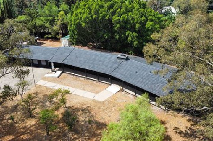 Tianne King – Celebsgraphy