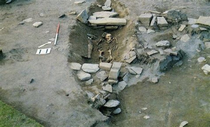 Uncovered Viking Funeral Ship In Scotland Contains Treasure Trove Of Ancient Relics