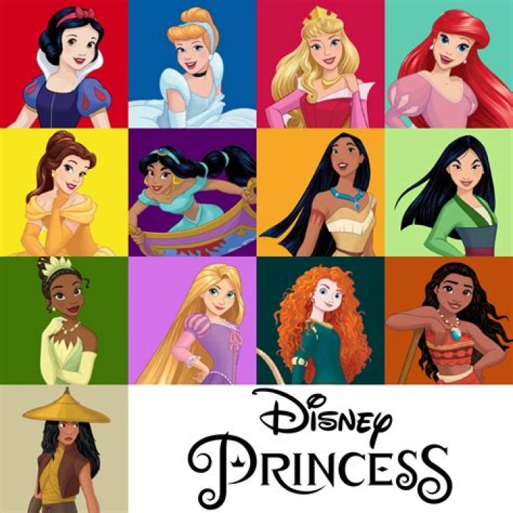What Disney princess has long black hair? – Celebrity.fm – #1 Official Stars, Business & People Network, Wiki, Success story, Biography & Quotes