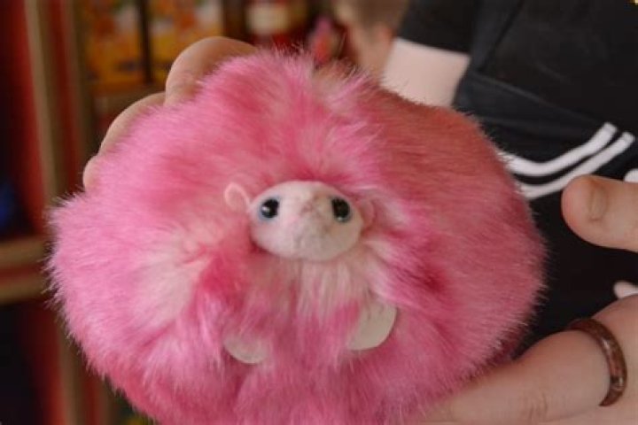 What is Luna Lovegood’s pet?