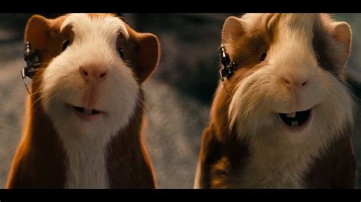 What is the name of the girl guinea pig in G-Force?