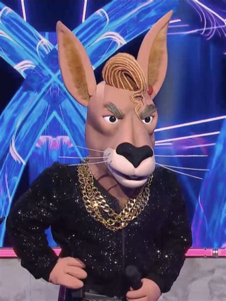 Who was the Space rabbit on Masked Singer? – Celebrity.fm – #1 Official Stars, Business & People Network, Wiki, Success story, Biography & Quotes